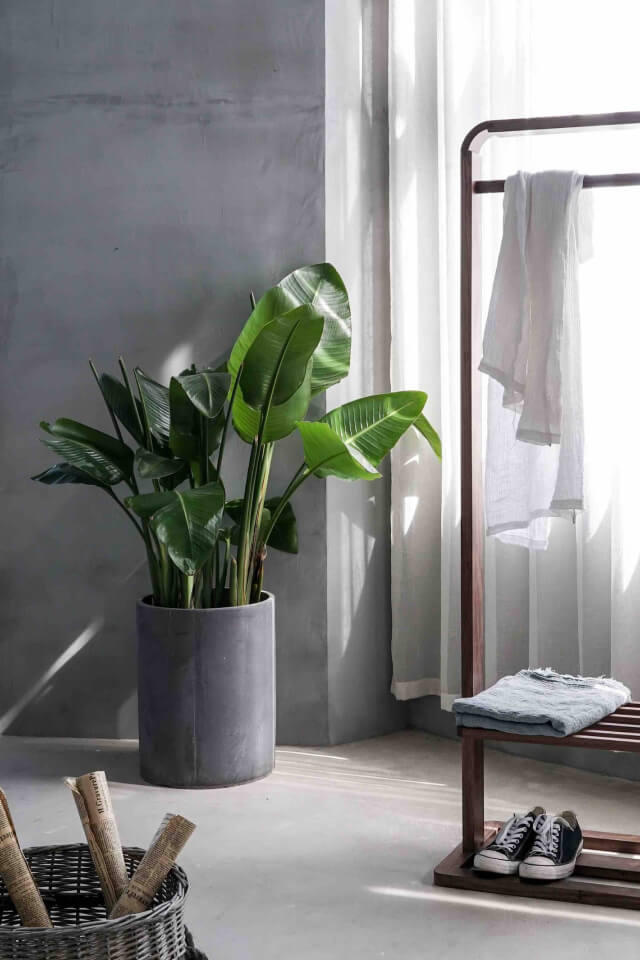 RO300- Robot Vacuum Cleaner - Image 2